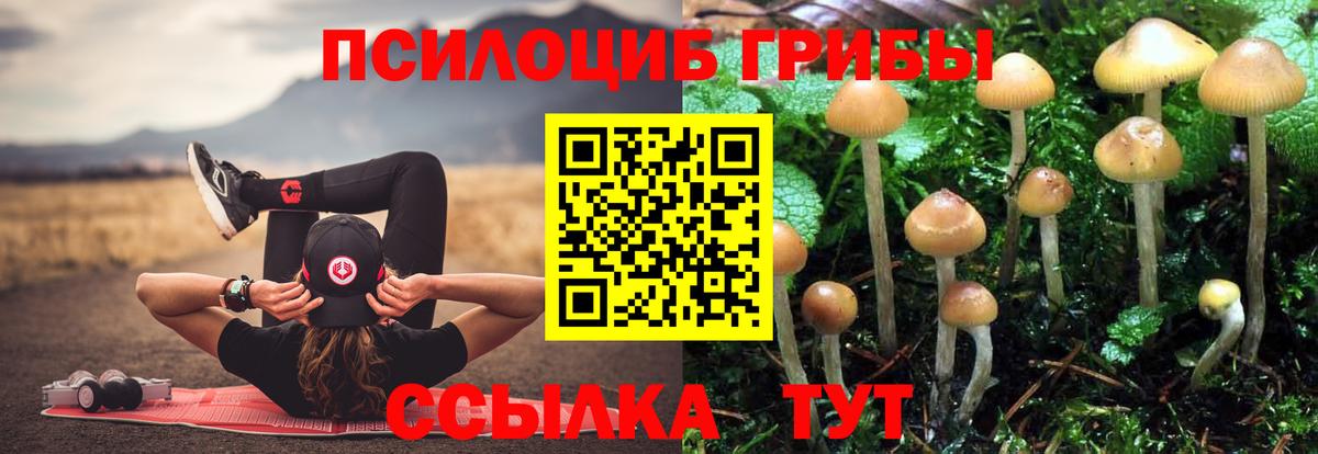 Галлюциногенные грибы ЛСД Отрадный